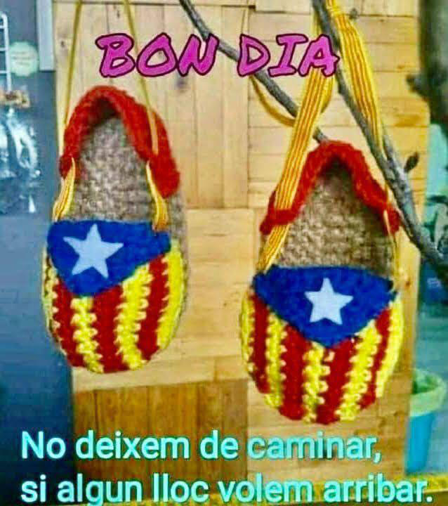 samarretes 2