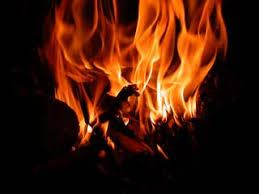 foc