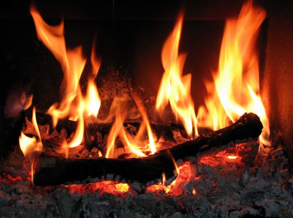 foc2