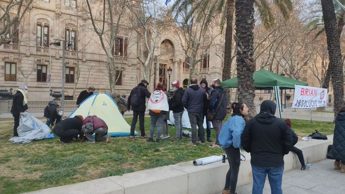 DV acampada