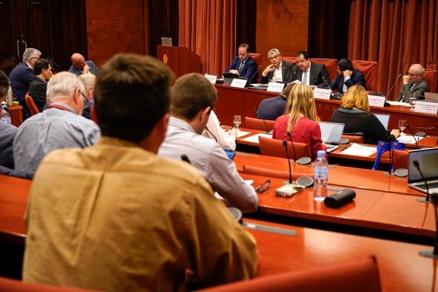 dimecres parlament