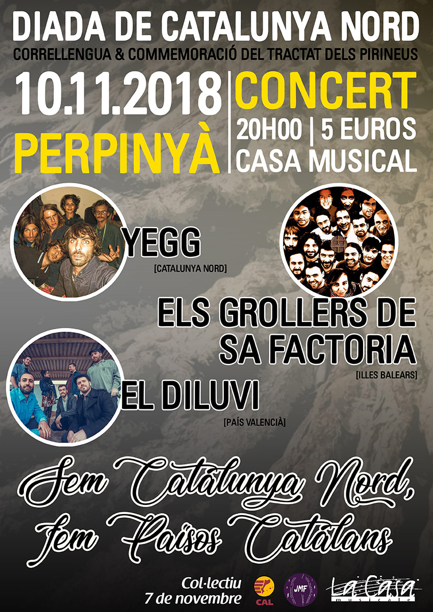 CARTELL CONCERT DIADA 2018