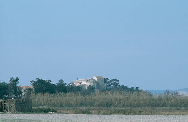 Maguelona