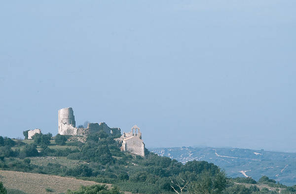 senyoria montpeller2
